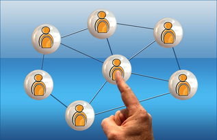 kaiyun体育app-英超球员社交媒体互动提升粉丝忠诚度研究,英超球队球迷