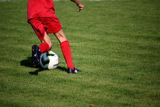 Kering-英超青训体系心理压力管理提升年轻球员稳定表现,英超球员训练时间